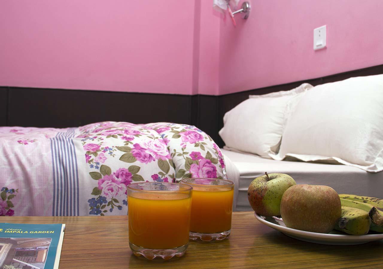 Hotel Impala Garden Katmandu Zewnętrze zdjęcie