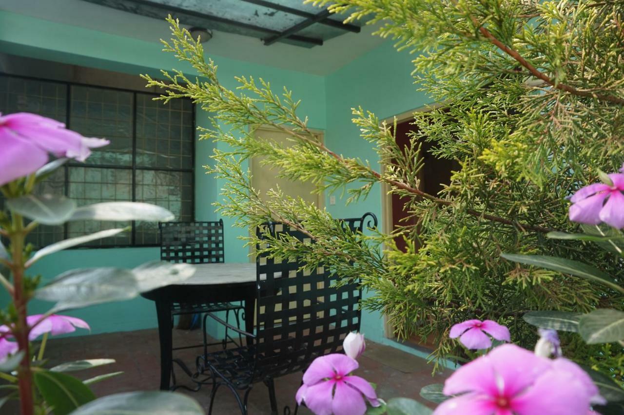 Hotel Impala Garden Katmandu Zewnętrze zdjęcie